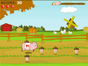 pig race flash game